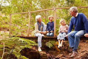 grandparents, visitation, Lombard family law attorneys