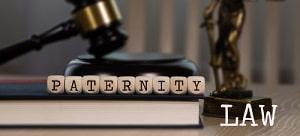 Lombard, IL parentage attorney